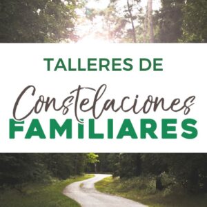 Talleres-Constelaciones-Familiares-Carlos-Bernues
