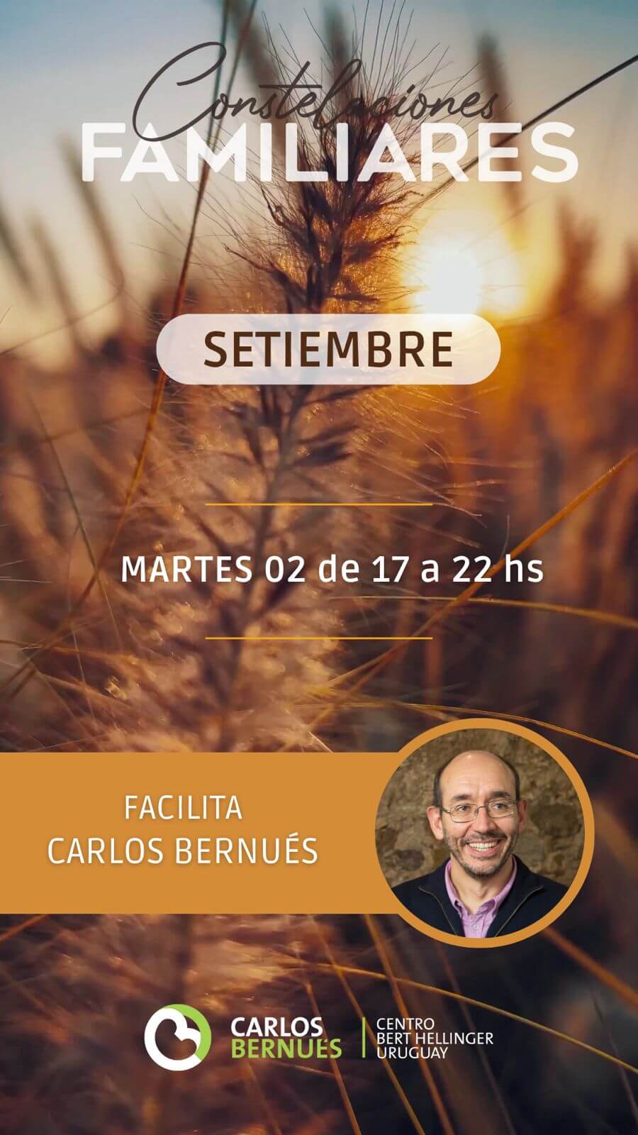 Taller de Constelaciones Familiares 02 SET 2025 - Carlos Bernués
