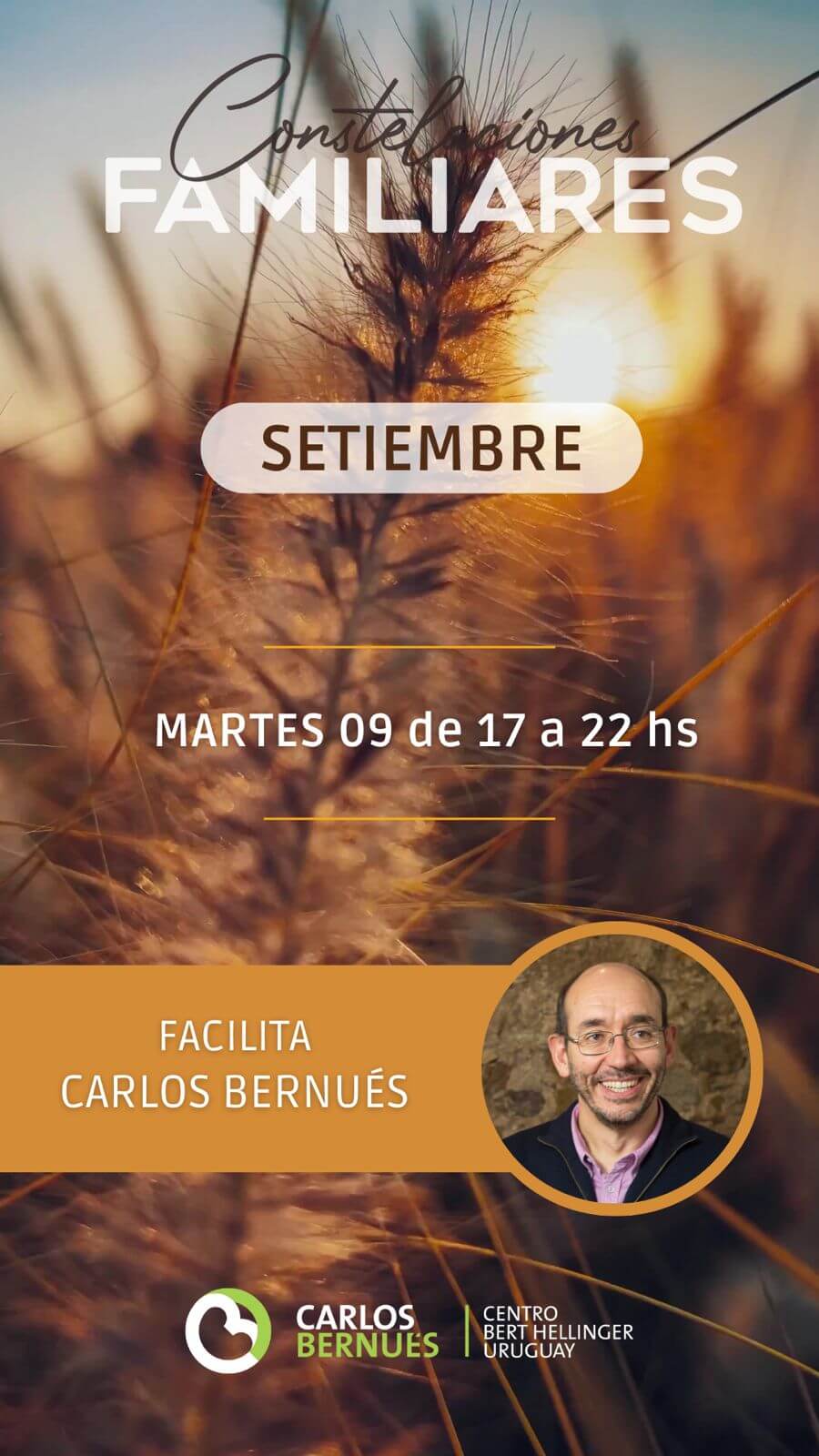Taller de Constelaciones Familiares 09 SET 2025 - Carlos Bernués
