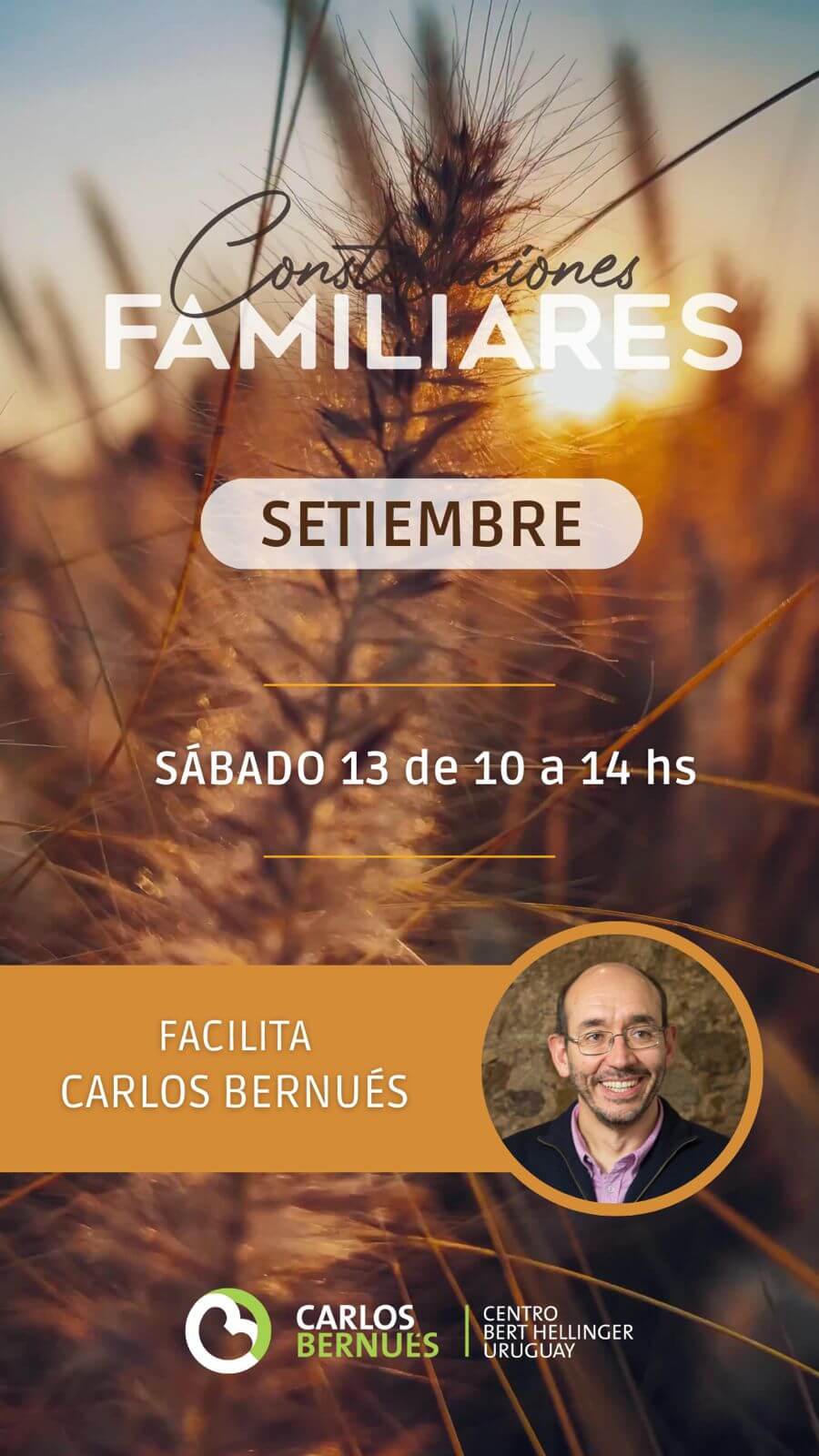 Taller de Constelaciones Familiares 13 SET 2025 - Carlos Bernués