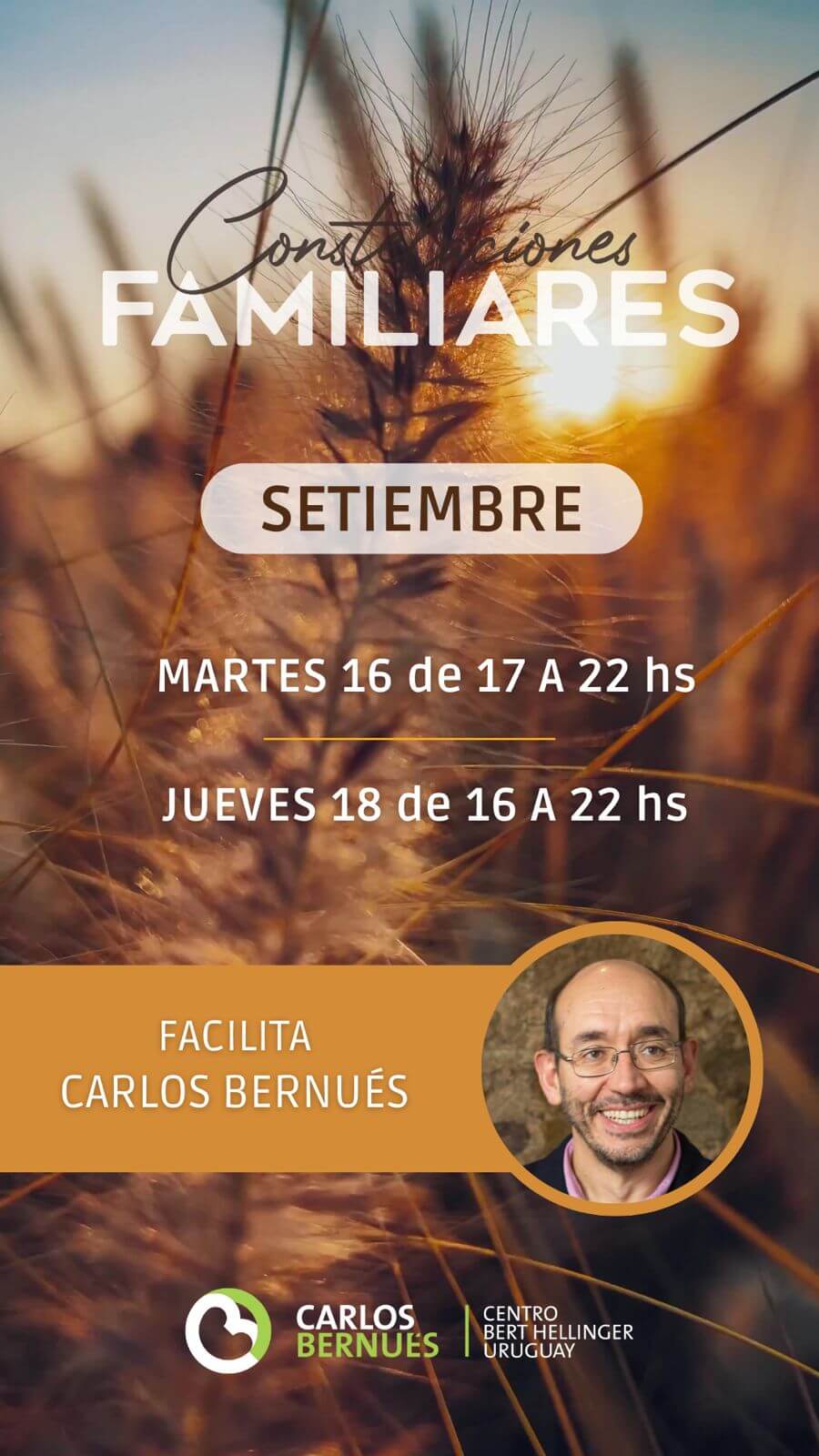 Talleres de Constelaciones Familiares 16 y 18 SET 2025 - Carlos Bernués