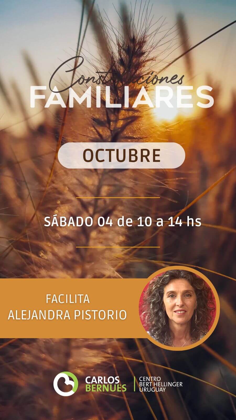 Taller de Constelaciones Familiares 04 OCT 2025 - Alejandra Pistorio