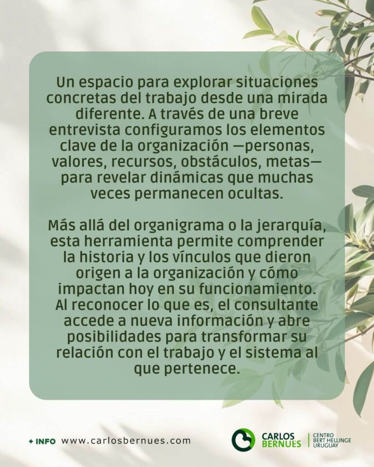 Taller-Constelaciones-Familiares-Organizaciones-Ambito-Laboral-Profesional-15-OCT-2025-LIZ-NUESCH-01