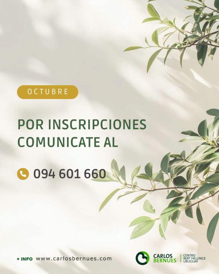 Taller-Constelaciones-Familiares-Organizaciones-Ambito-Laboral-Profesional-15-OCT-2025-LIZ-NUESCH-02