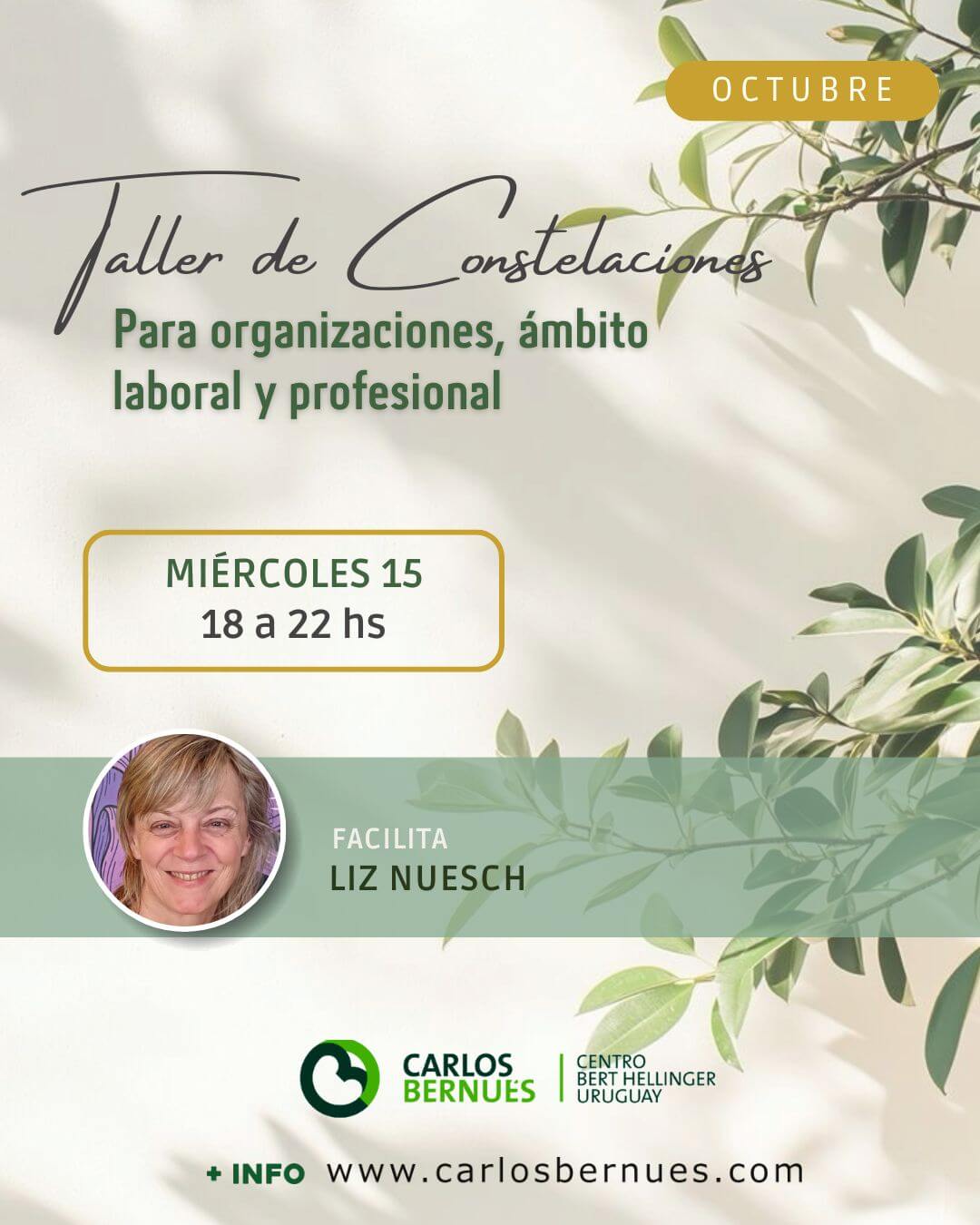 Taller de Constelaciones Para Organizaciones, Ámbito Laboral y Profesional - 15 OCT 2025 - Liz Nuesch