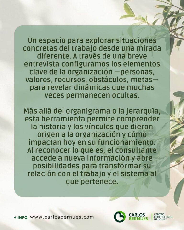 Taller-Constelaciones-Organizacionales-ambito-laboral-prof-03-DIC-2025-Liz-Nuesch-01