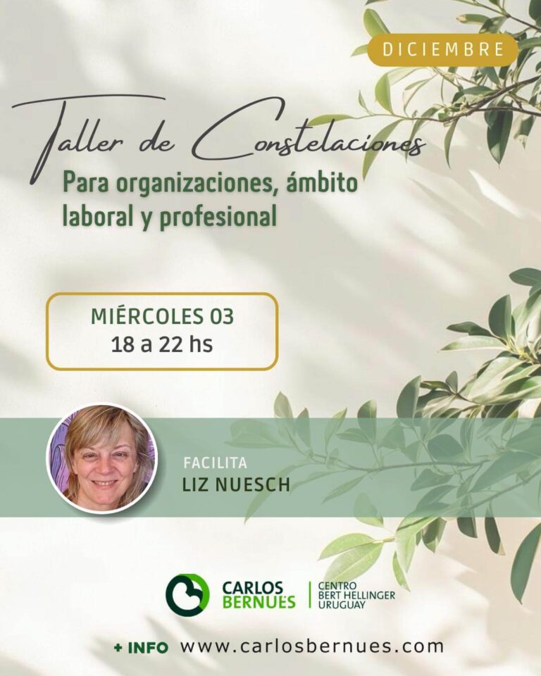 Taller de Constelaciones Organizacionales 03 DIC 2025 - Ámbito Laboral y Profesional - Liz Nuesch